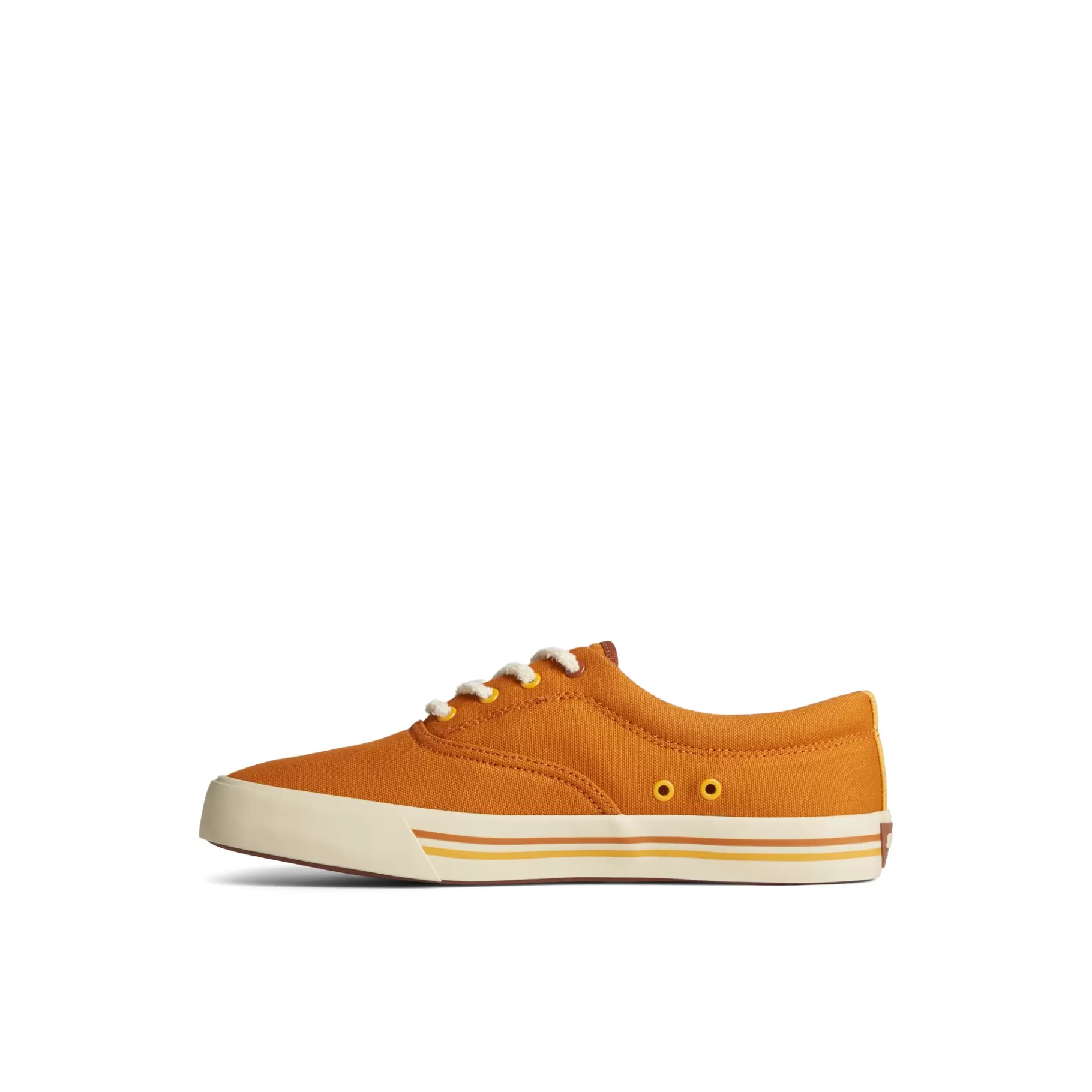 Seacycled™ Striper II CVO Sneaker^Sperry New