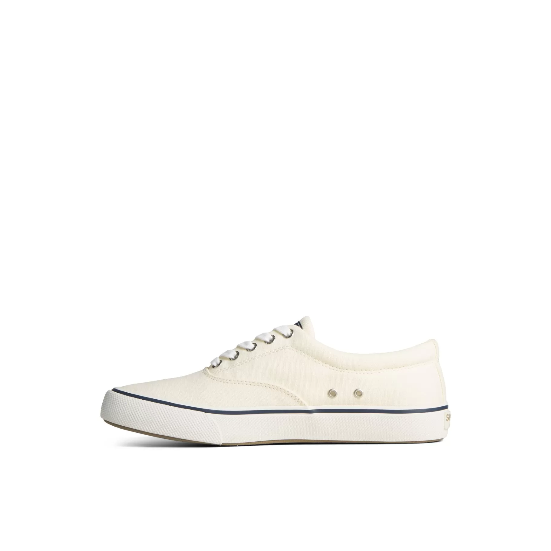 Striper II Canvas CVO Sneaker^Sperry Online